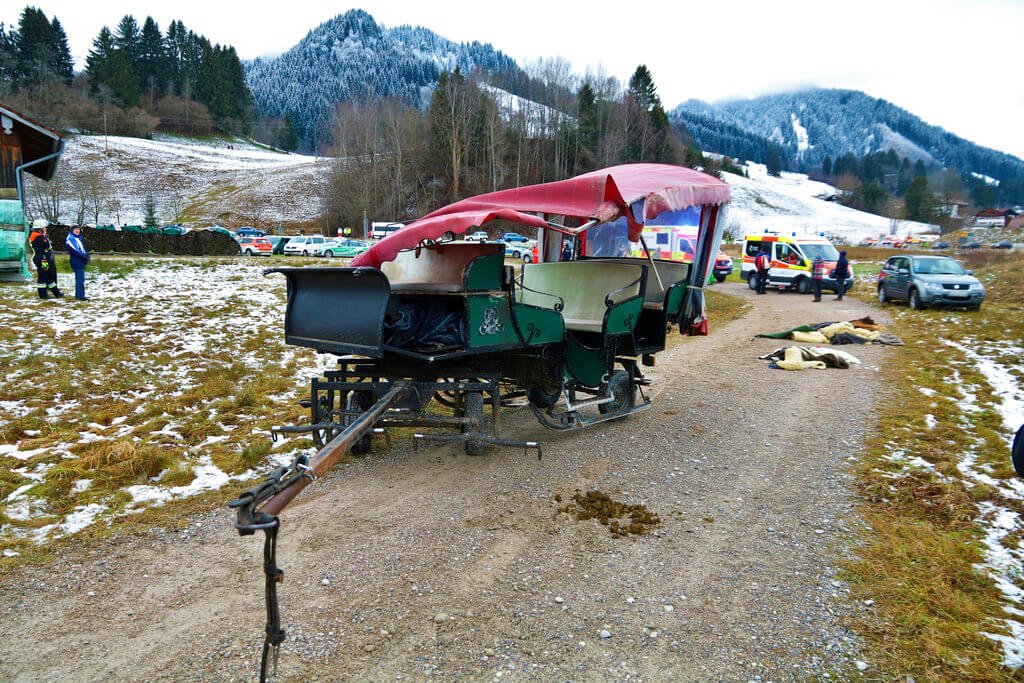 Horse Carriages