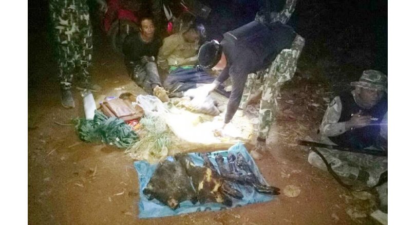Alleged poachers with wild boar flesh arrested