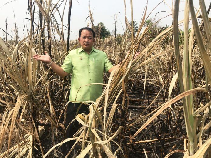 BURNING SUGARCANE STALKS CONTRIBUTES TO SMOG