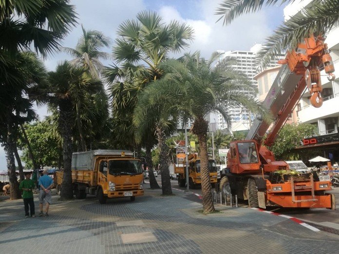 City hall beautifying Pattaya for coronation