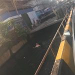 Crazy Tourist Swims in Cambodia Canal