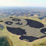 China has built a panda-shaped solar power plant