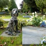 New Law Allows Pets To Be Buried Alongside Their Humans At Cemeteries