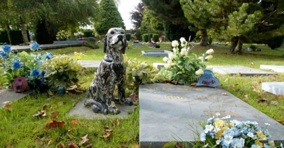 New Law Allows Pets To Be Buried Alongside Their Humans At Cemeteries