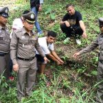 Thai man arrested for STABBING German tourist on Koh Samui