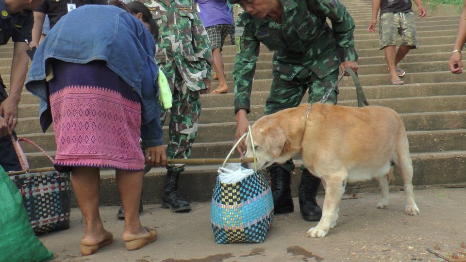 Truck spraying stepped up to prevent swine fever from entering from Laos