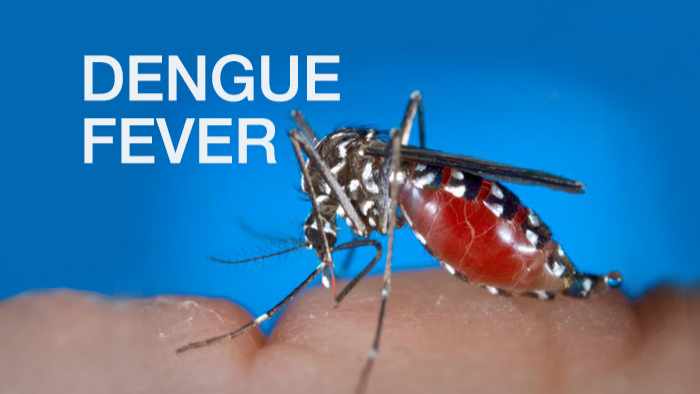 Dengue Fever in Thailand Reaches 49,174 Cases With 64 Deaths