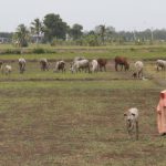 Thai PM orders army ALERT as DROUGHT becomes CRISIS