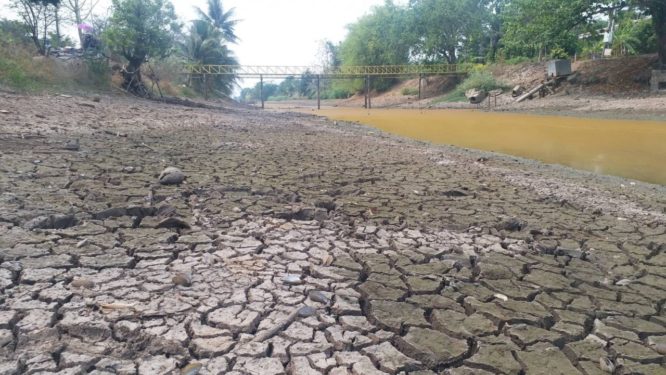 Water crisis in Thailand, farmers must ‘postpone activities’