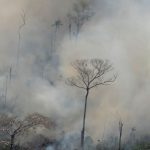 Bolsonaro Sends Army To Fight Amazon Fires Amid Mounting International Pressure