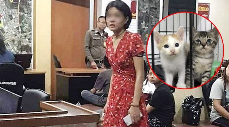 DJ charged with killing 27 cats