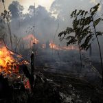 G-7 nations pledge $40 million to fight Amazon fires