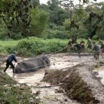 EIGHT HOUR effort to rescue trapped elephant