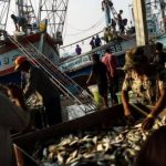 Trump hammers Thai seafood industry over Human Rights