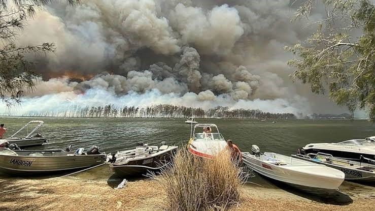 Australian bushfires