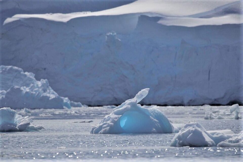 Арктика ролик. Арктика видео для детей 1 класса. Live in Antarctica.