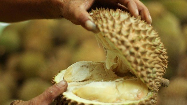 durian fruit