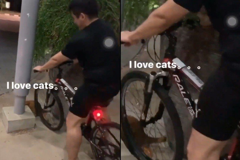 Young man caught harassing stray cat with bicycle apologises over 'misguided fun'