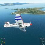 Microsoft Flight Simulator