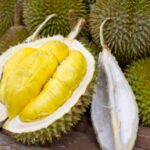 durian