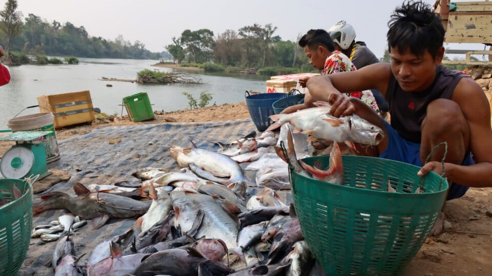 Fishing sector cries foul over upstream dams on Mekong River