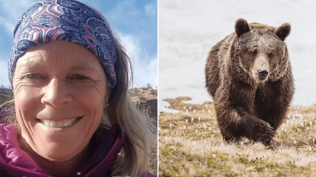 US Woman Killed By Bear That Dragged Her From Tent In Montana