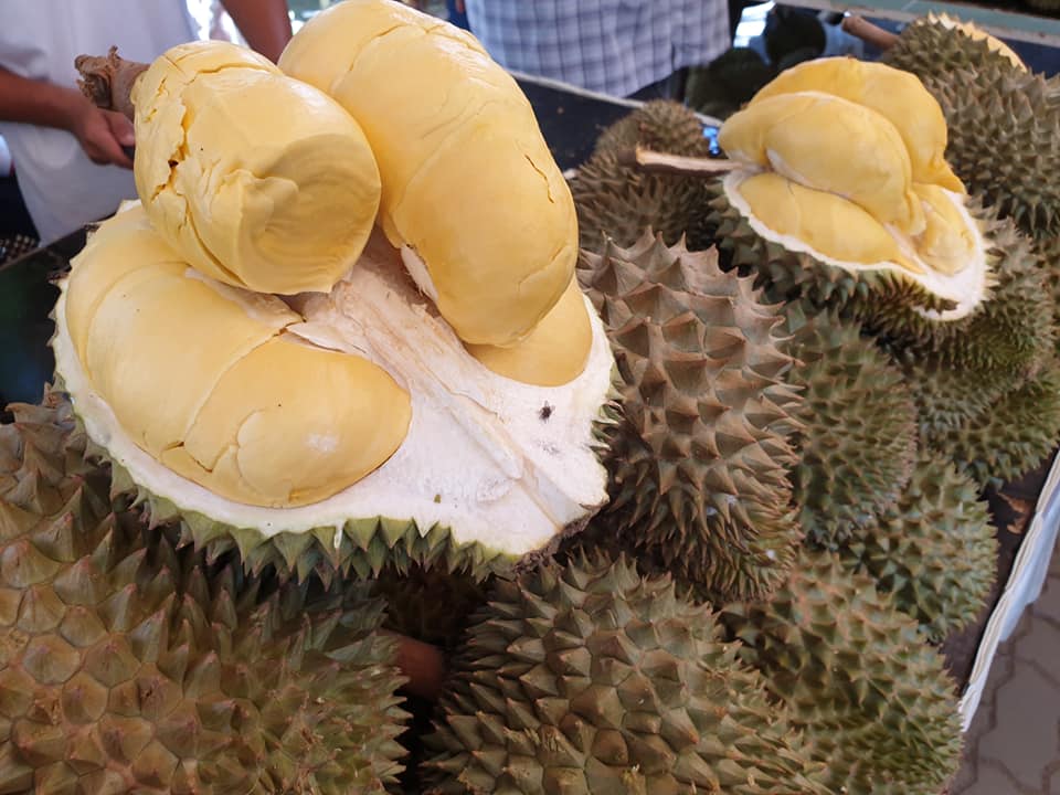 Outranking rice and rubber ,Durian is Thailand’s top export earner