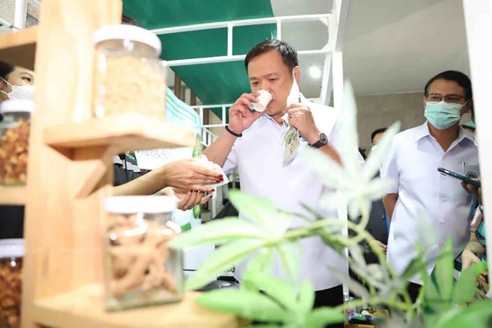 Ganja bill withdrawn, legalisation rolled back