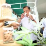 Ganja bill withdrawn, legalisation rolled back