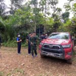 pickup seized near border