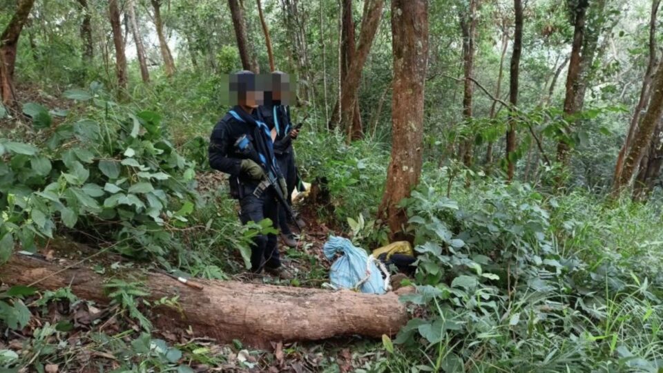 15 drug smugglers killed near Thai-Myanmar border in Chiang Mai