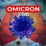 omicron xbb