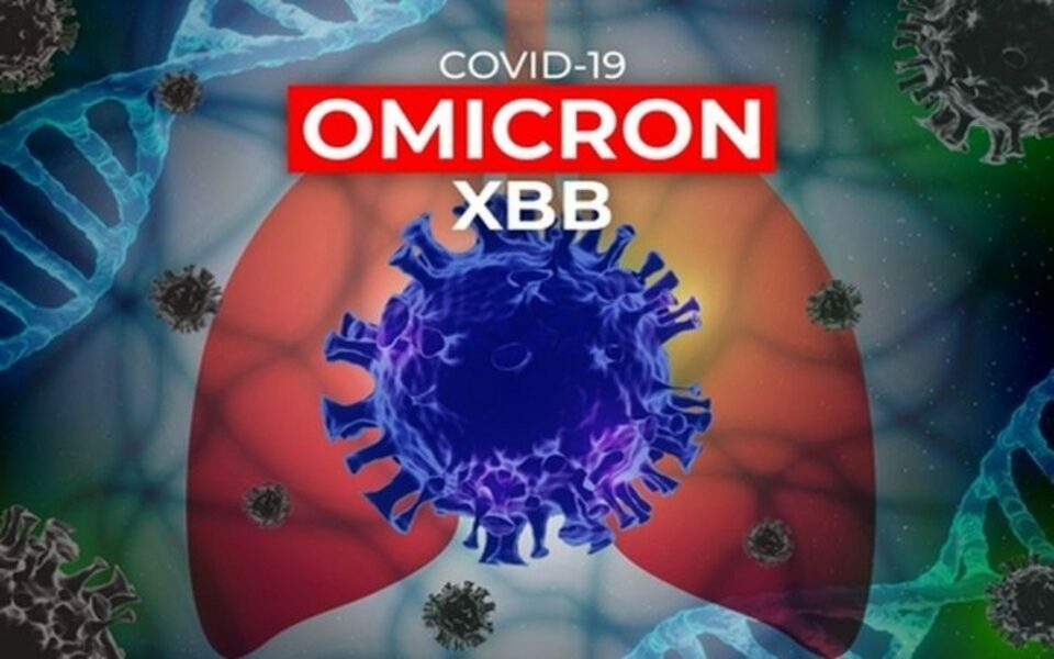 omicron xbb