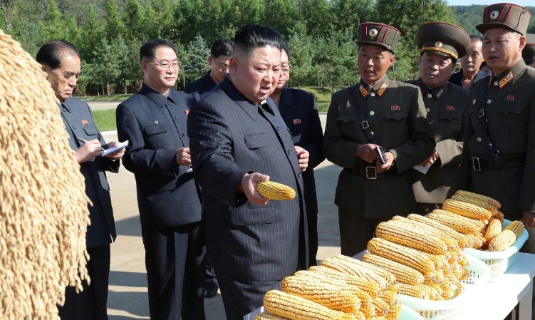 North Korean food shortages