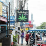 Cannabis pattaya one Feb 12 2024