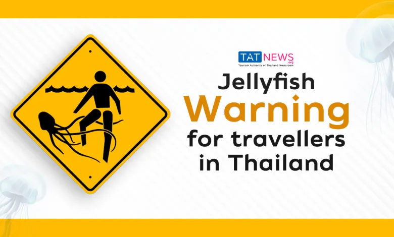 Jellyfish warning for travellers in Thailand