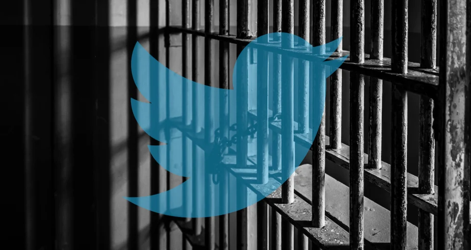 Sentence halved from 50 years for 18 posts made on Twitter