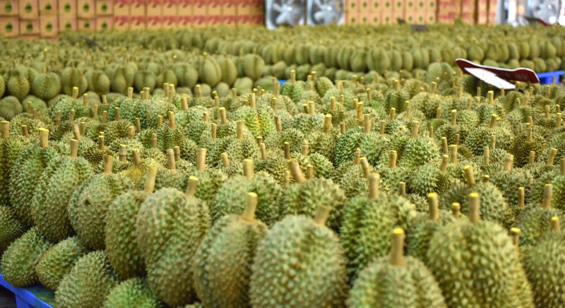 Love it or Hate it Durian