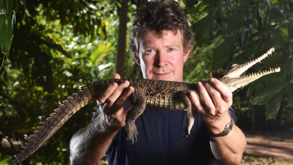 Crocodile expert jailed for 10 years over sexual abuse of dogs