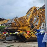 Crane collapse kills worker