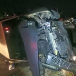 Driver Overturns Car Avoiding Street Dog