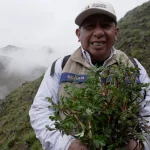 Major Efforts Underway to Plant ‘Cloud Trees’ in the Andes