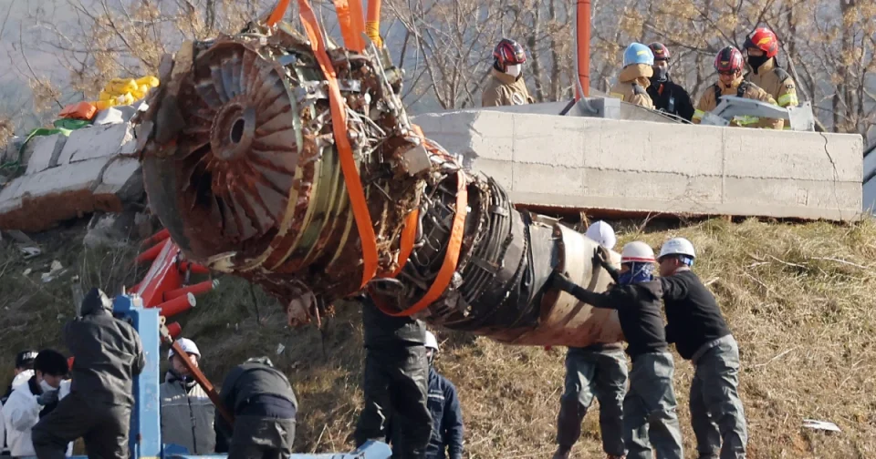 Bird Feathers and Blood Found in Both Engines of Crashed Jet