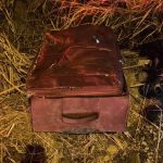 Human Remains Found in Suitcase Shock Chonburi Residents